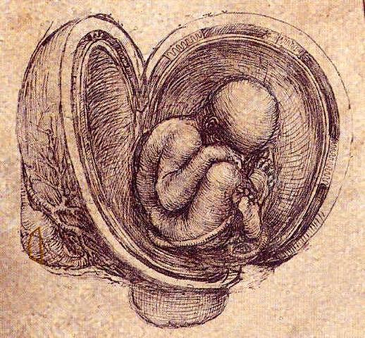 Leonardo da Vinci (1452-1519)