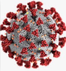 Herramienta para luchar contra enfermedades (sars-cov-2)