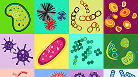 Timeline: Científicos y avance de la microbiología