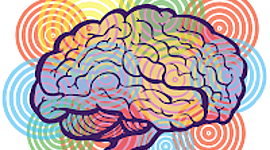 Timeline: Historia de las Diferencias Individuales- Psicología.