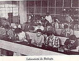 La creación de programas de alfabetización