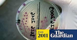 E coli outbreak