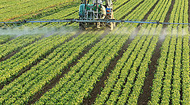 Timeline: Marco histórico de referencia del derecho agrario