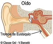 Bartolomeo Eustaquio (1514-1574)