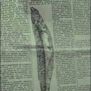 Las prensas difunden el nuevo invento