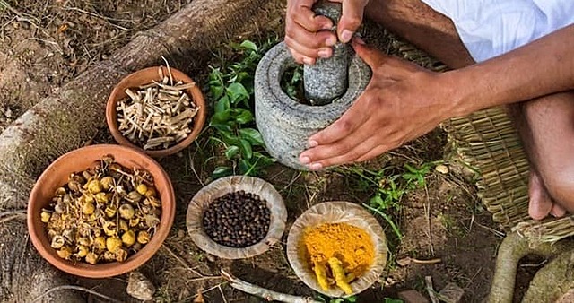 MEDICINA TRADICIONAL