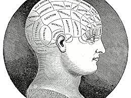 Psicológico-experimental  Friedich