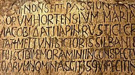 Timeline: Historia de la Lengua