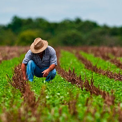 Timeline: Derecho Agrario