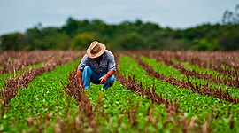 Timeline: Derecho Agrario