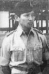 Pemberangusan Partai