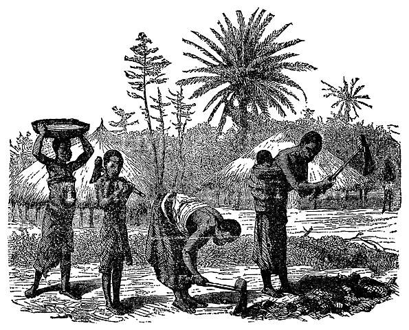 Aparición de la Antroopología