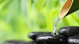 Timeline: TERAPIAS NATURALES