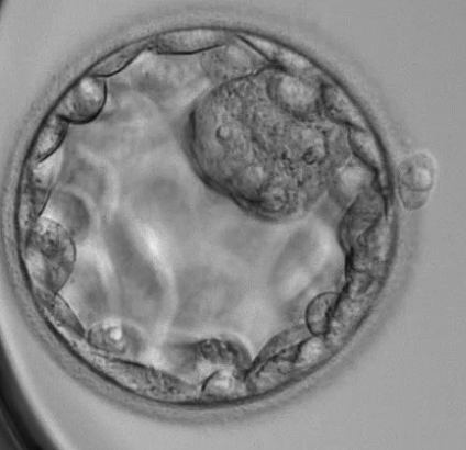 Robert Briggs, Thomas King