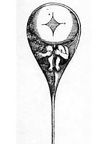 Nicolaas Hartsoeker (1656-1725)