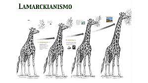 Jean-Baptiste Lamarck (1744-1829)