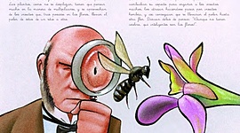 Timeline: HISTORIA DE LA FITOPATOLOGIA