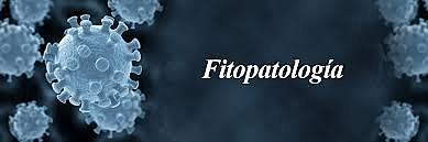 FITOPATOLOGIA