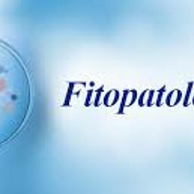 Timeline: FITOPATOLOGIA