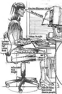 Se crea el campo de la Ergonomía