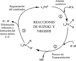 Richard Heck, Ei-ichi Negishi y Akira Suzuki