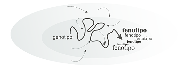 Caspar Friedrich Wolff (1734-1794)