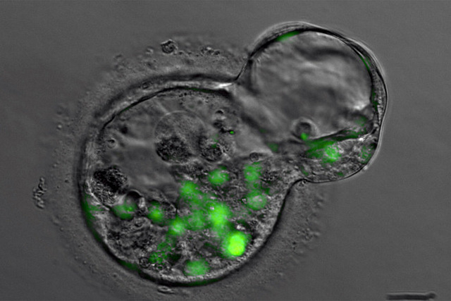 Robert Briggs y  Thomas King