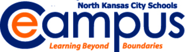 Online Learning Opportunities Implemented