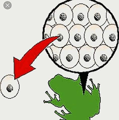 Robert Briggs, Thomas King