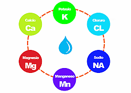 Primera Guerra Mundial
