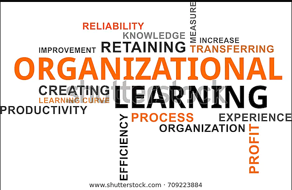 Organizational learning