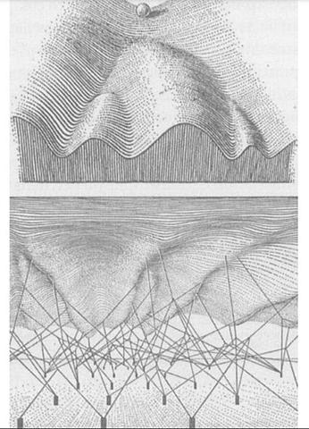 Conrad Hal Waddington