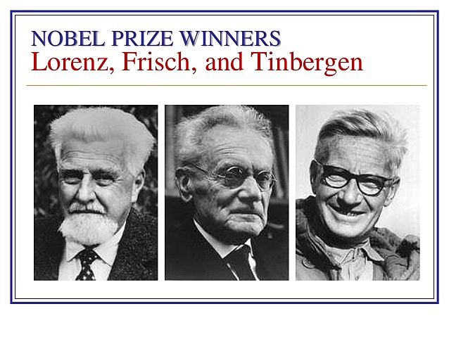 PERSPECTIVA ETOLOGICA