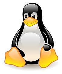 LINUX KERNEL