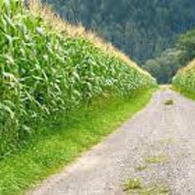 Timeline: Marco Histórico del Derecho Agrario