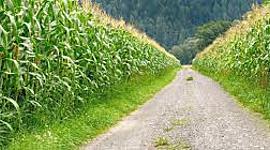 Timeline: Marco Histórico del Derecho Agrario