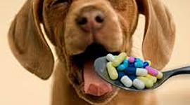 Timeline: Historia de la farmacología veterinaria