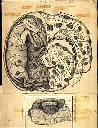 BARTOLOMEO EUSTACHIUS