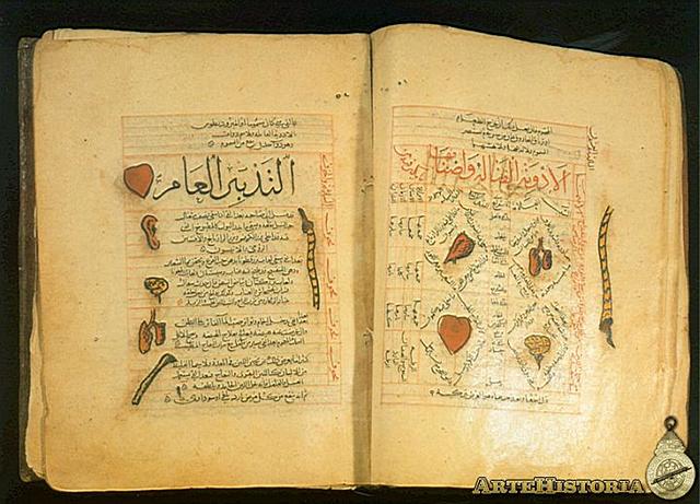 El canon de medicina