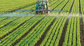 Timeline: Origen del Derecho Agrario