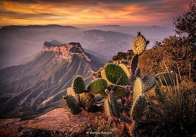 Plan de Sierra Gorda