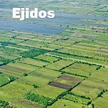 LA PROPIEDAD COLECTIVA Y EL EXITUS