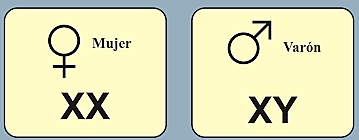 MARIA STEVENS-WILSON