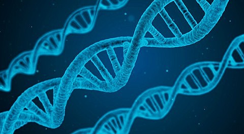 Surgimiento de la biología