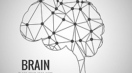 Timeline: Evolución del sistema nervioso