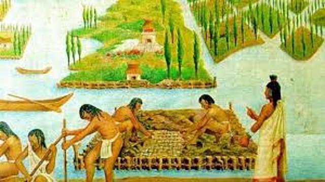 Organización agraria de los mayas