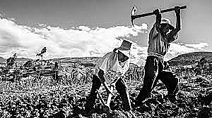 Decreto sobre Colonización y Compañías Deslindadoras del 15 de diciembre de 1883.