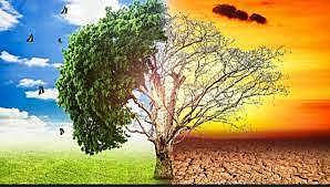 La enfermedad y la supertición "Muerte negra"