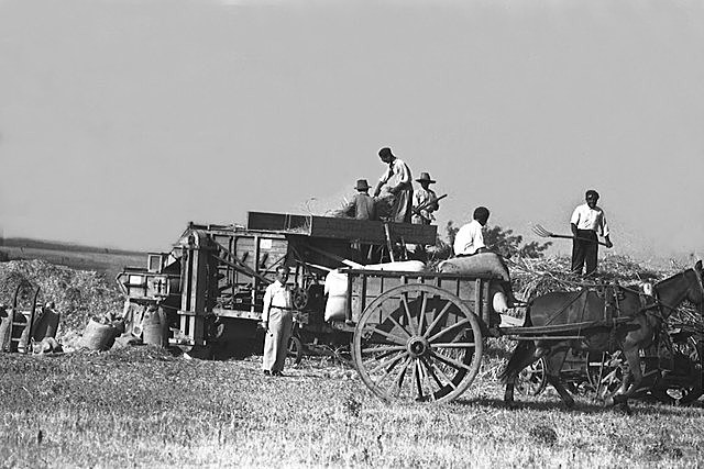 Desarrollo de operaciones logísticas