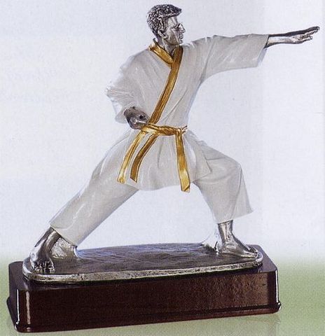 Competición de Karate